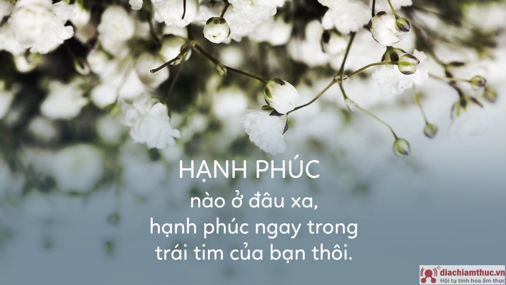 Stt Hạnh Phúc Trong Tình Yêu Và Cuộc Sống