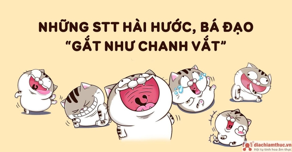 Stt hài hước, bá đạo gắt như chanh