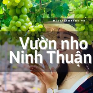 vườn nho ninh thuận