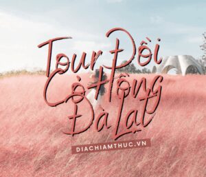 Tour đồi cỏ hồng Đà Lạt