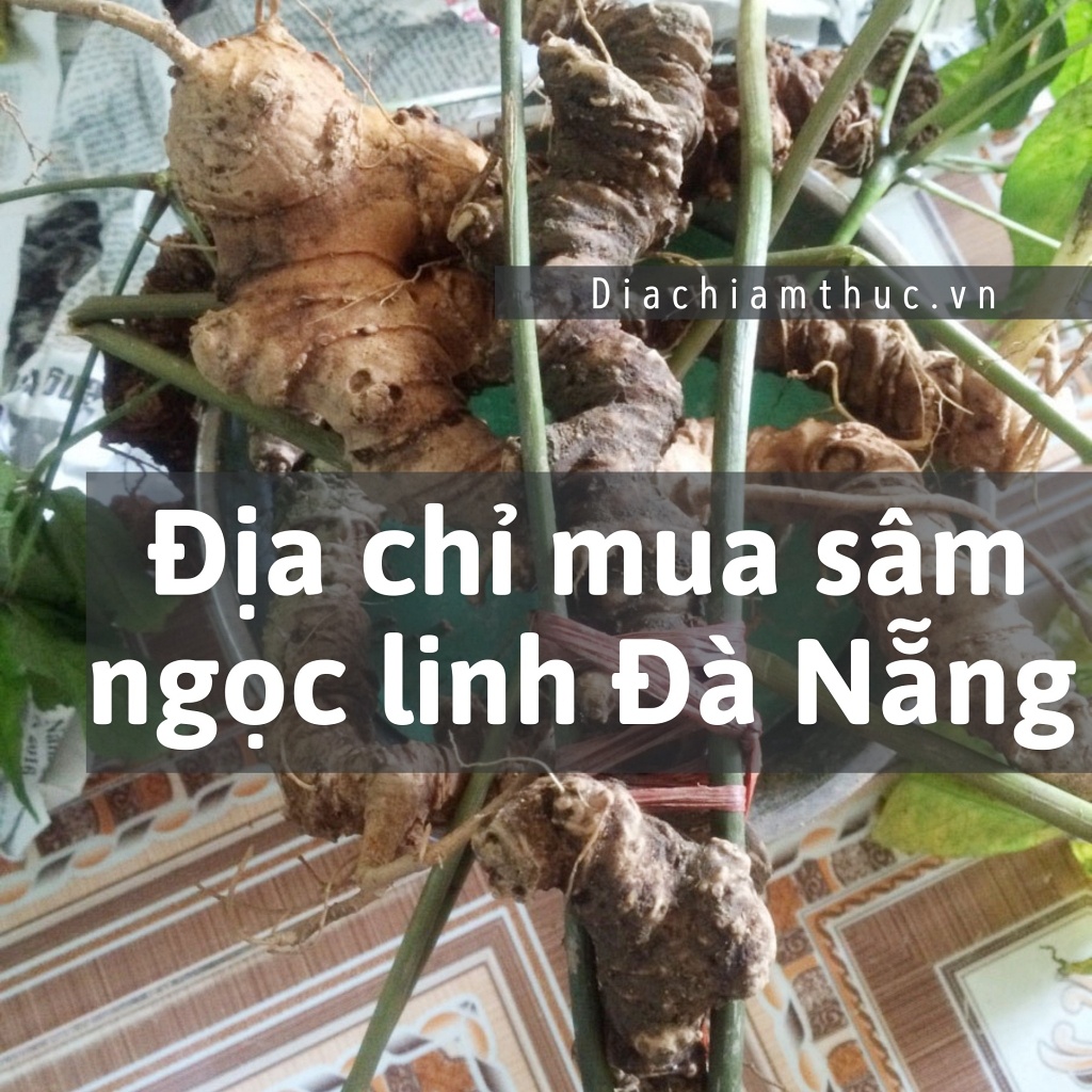 Địa chỉ mua sâm ngọc linh Đà Nẵng