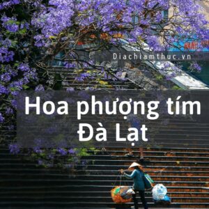 Hoa phượng tím Đà Lạt