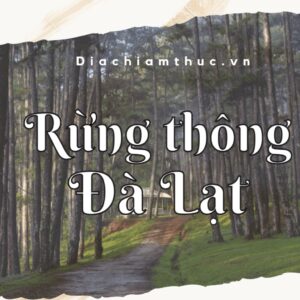 Rừng thông Đà Lạt