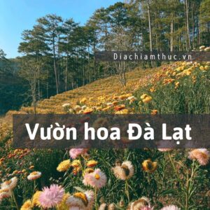 Vườn hoa Đà Lạt