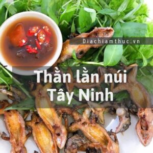 Thằn lằn núi Tây Ninh